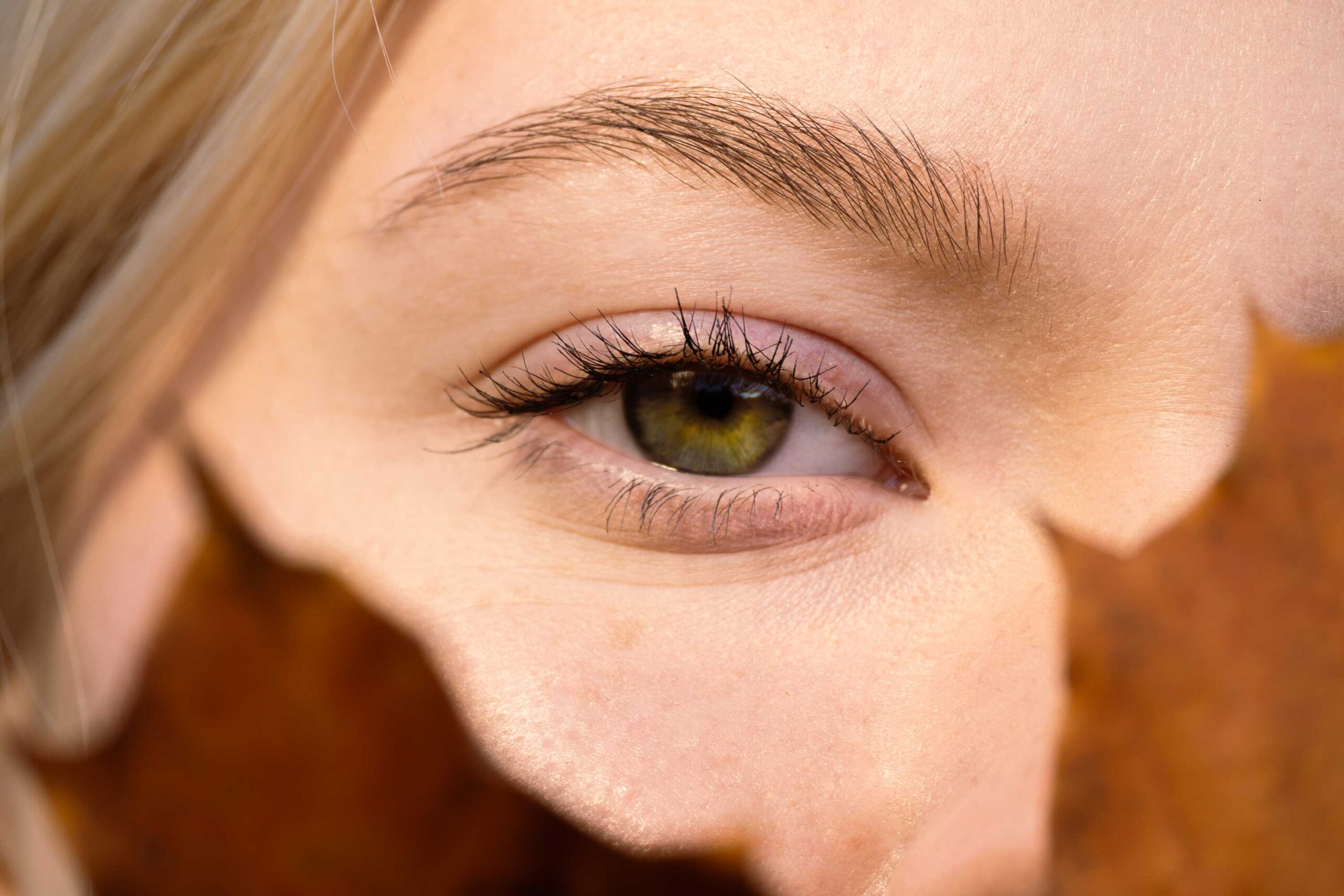 bliski portret zielonego oka - detal